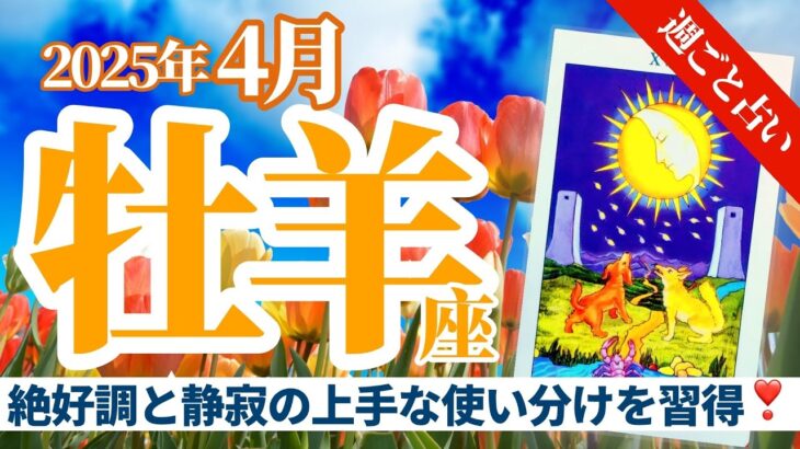 【牡羊座4月】絶好調と静寂の上手な使い分け🥰エネルギー周波数をコントロールすれば無敵❣️🔮🧚タロット&オラクル《週ごと》