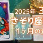 さそり座さん♏️2025年3月の運勢タロットリーディング✨【お久しぶりです！】