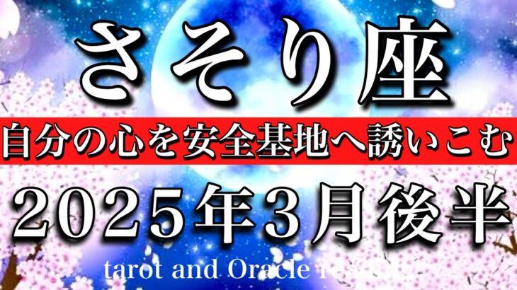 さそり座♏︎2025年3月後半　夢は逃げないから大丈夫💫自分の心を安全基地へと誘い込む🧚‍♂️Scorpio tarot reading