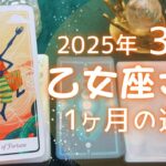 乙女座さん♍️2025年3月の運勢タロットリーディング✨【お久しぶりです！】