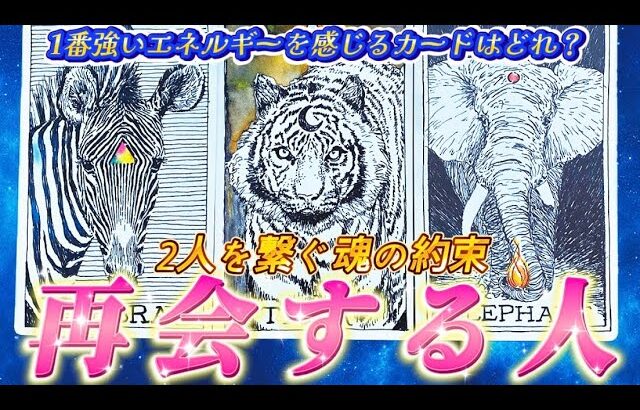 【必ず繋がる🤝】あなたと再会する人は誰？運命のあの人の気持ち💗復縁　仲直り　2人のご縁　個人鑑定級✨タロット