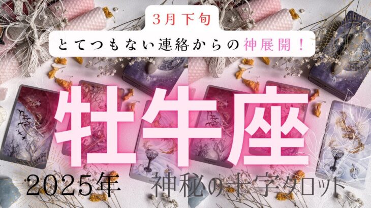 【とてつもない連絡からの神展開❗️】牡牛座　2025年神秘の十字タロット占い　#タロット#占い#タロットカード#運勢#星座#牡牛座