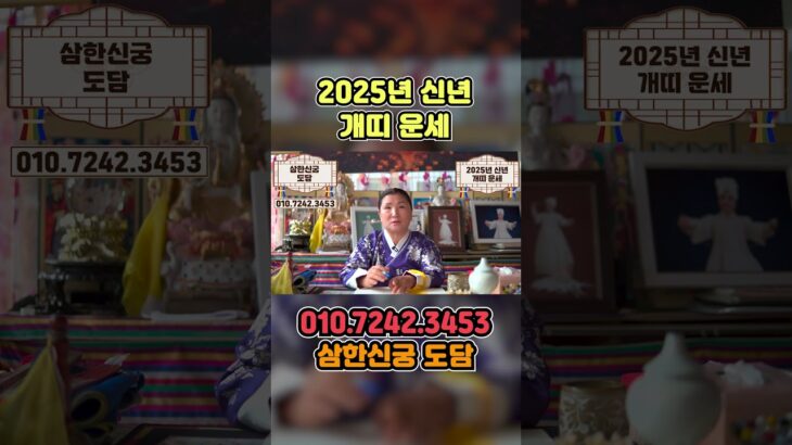 2025년 을사년 개띠 신년운세