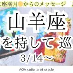 【山羊座♑︎】乙女座満月からのメッセージ 人生に微笑みかける 理想と現実の間 ここから満を持して巡っていく