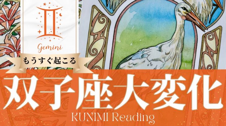 双子座♊あなたの願いが叶って大変化🕊️もうすぐ起こる嬉しい大変化🕊️どんな大変化？🕊️いつ頃？🌝月星座ふたご座さんも🌟タロットルノルマンオラクルカード