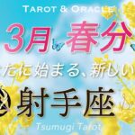 【射手座♐️春分3/20】㊗️最高のカード展開！胸いっぱいの喜びを味わう！まるで宝探しの世界へ🌏