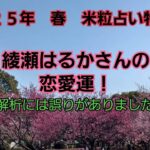 25,03,04綾瀬はるかさんの恋愛運！～米粒占い(台湾流易学)～