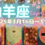 山羊座★2025/3/16～31★どうしても諦めたくないって思っていることがこの時動き始める！自分を信じて思いを実らせる時（＋思いを実らせ、実りを刈り取り、さらに飛躍していくためのメッセージ）