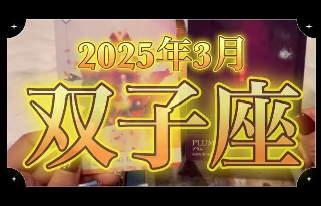 【双子座♊️3月運勢】想像以上にうまくいく！試練を乗り越える時！