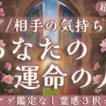 【見た時がタイミング🔔】あなたの運命の人❤️ツインレイ/ソウルメイト/運命の相手/複雑恋愛/曖昧な関係/復縁/片思い/音信不通/ブロック/未既読スルー/好き避け/恋愛/結婚/占い/リーディング/霊視