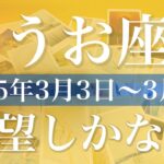 【うお座】1週間の運勢（2025年3月3日〜3月9日）♓️吉報！すごい転換があるかも！やっと回り出す、賑やかに