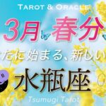 【水瓶座♒️春分3/20】人生の伏線回収が始まる🕊️自分を愛すほどあなたは最強になる🫶