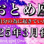 おとめ座♍︎2025年3月後半 現実を超越していく🔥全ては自分のために起きていたと知る🧚Virgo tarot reading