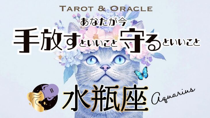 【水瓶座♒️見た時がタイミング】ミッションに目覚めるメッセージ💌手放すといいこと＆守るといいこと