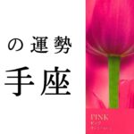 【射手座🌞3月の運勢】実は今、水面下でめちゃくちゃ重要なことが起こっています‼️2025年タロット占い