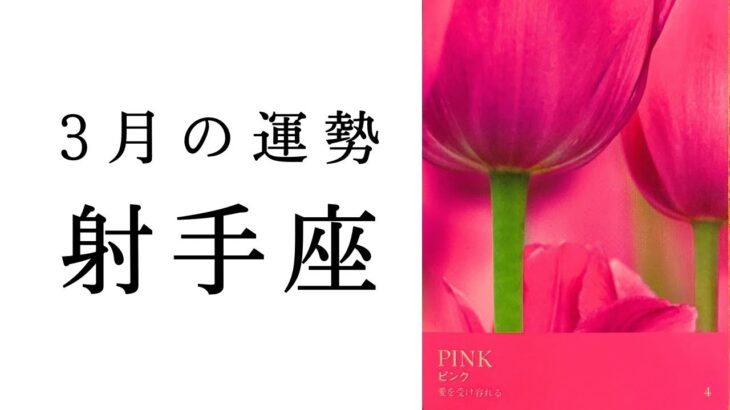 【射手座🌞3月の運勢】実は今、水面下でめちゃくちゃ重要なことが起こっています‼️2025年タロット占い