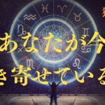 【獅子座♌️】あなたが今引き寄せている事💫星座占いにはおみくじはありませんのでご了承下さい🙇