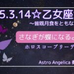 2025.3.28☆乙女座満月～サナギが蝶になるように🦋✨