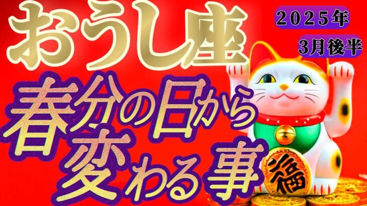 【牡牛座♉️3月後半】春分の日からの嬉しい変化💐果報は寝て待てって昔から言うよね🍀　✡️キャラ別鑑定付き✡️