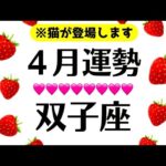 ３月～４月の双子座、衝撃神回で震え止まんない。一年に一度あるかないかの大変化きます‼️2025年4月全体運勢♊️仕事恋愛対人評価や印象【個人鑑定級タロットヒーリング】