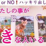 【YES or NO❗️】今わたしの事が好きな人はいますか？タロット、タロット占い、恋愛