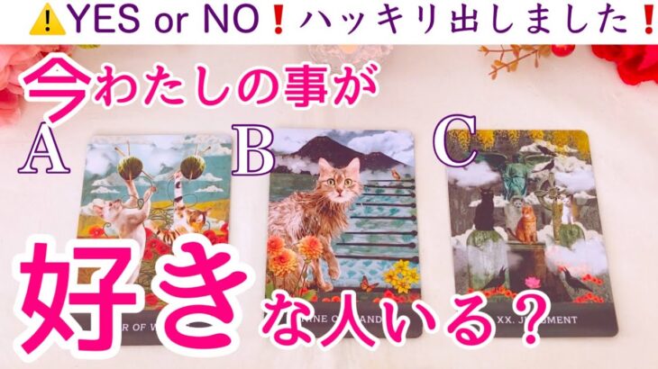 【YES or NO❗️】今わたしの事が好きな人はいますか？タロット、タロット占い、恋愛