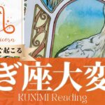 山羊座♑心身回復につながる決断ができる大変化🕊️もうすぐ起こる嬉しい大変化🕊️どんな大変化？🕊️いつ頃？🌝月星座やぎ座さんも🌟タロットルノルマンオラクルカード