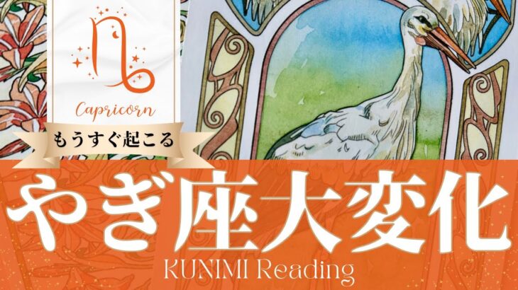 山羊座♑心身回復につながる決断ができる大変化🕊️もうすぐ起こる嬉しい大変化🕊️どんな大変化？🕊️いつ頃？🌝月星座やぎ座さんも🌟タロットルノルマンオラクルカード