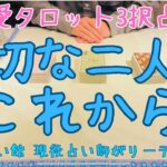 【諦めかけの方必見】恋愛タロット3択_大切な二人のこれから_占い_バランガン_いち木しま馬