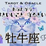 【牡牛座♉️見た時がタイミング】あなたが大開花するヒント🌸手放すといいこと＆守るといいこと