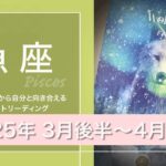 【うお座】積み上げること・歴史が足りない？●2025年3月後半から4月前半タロットリーディング【音声なし】【魚座】