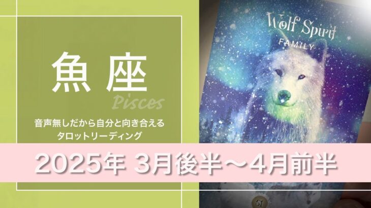 【うお座】積み上げること・歴史が足りない？●2025年3月後半から4月前半タロットリーディング【音声なし】【魚座】