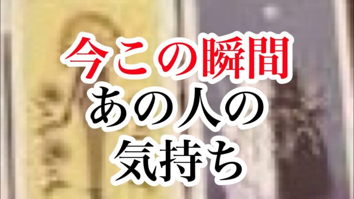 今この瞬間のあの人の気持ち【恋愛💖タロット】