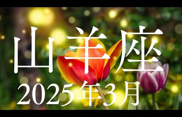 山羊座♑️2025年3月【バランス✨】この安定を守っていく✨光の道に続いてる🌈