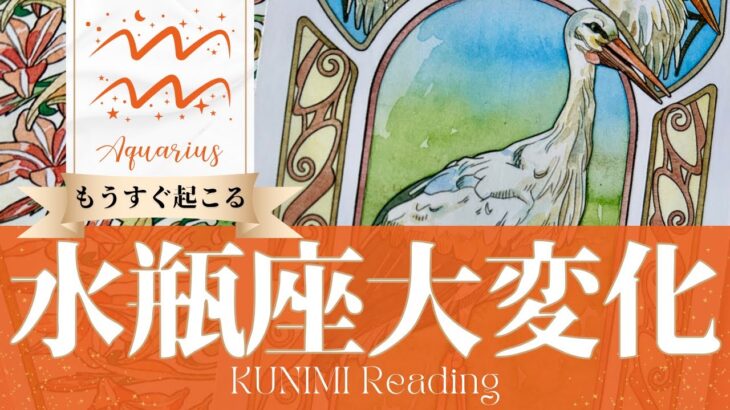 水瓶座♒願いが叶い健康回復する大変化🕊️もうすぐ起こる嬉しい大変化🕊️どんな大変化？🕊️いつ頃？🌝月星座水瓶座さんも🌟タロットルノルマンオラクルカード