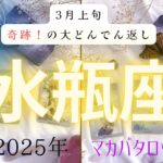 【3月上旬奇跡❗️の大どんでん返し】水瓶座2025年タロット占い✨とてつもない連絡#タロット#タロットカード#占い#運勢#3月#水瓶座