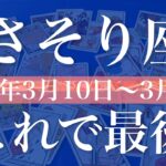 【さそり座】1週間の運勢（2025年3月10日〜3月16日）♏️困難の終わり！愛しさと暖かさ、整えるものは？自分自身と仲直り