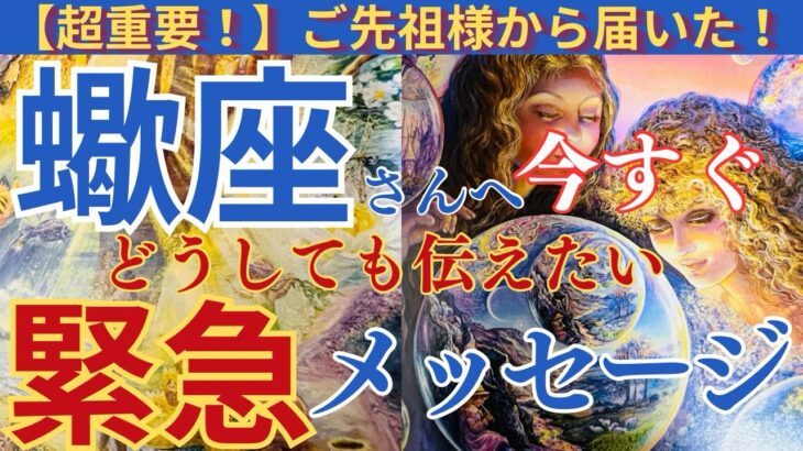 【蠍座♏️】【御先祖様💐】🌈表示されたらタイミング‼️⚠️緊急メッセージが届いています🌟