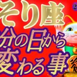 【蠍座♏3月後半】春分の日からの嬉しい変化💐最強の幸運招きと円満のエネルギーでホクホクです👑　✡️キャラ別鑑定付き✡️