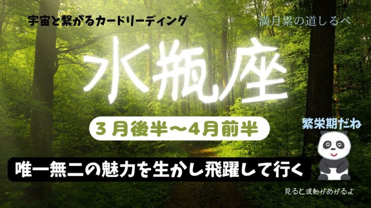 水瓶座♒️努力が実る✨女神ダヌがあなたの願いが叶うことを予言していた‼️