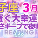 ♌獅子座3月運勢🌈✨大発展！楽になって行く！新たな幸運の人生へ💐✨