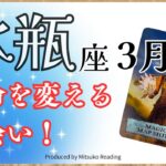 水瓶座3月は運命を変える出会いが待ってる❗️大切にすべきは○○❗️2025年3月運勢仕事恋愛人間関係♒️【脱力系タロット占い】