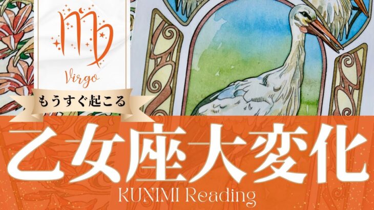 乙女座♍あなたの決断により大変化🕊️もうすぐ起こる嬉しい大変化🕊️どんな大変化？🕊️いつ頃？🌝月星座おとめ座さんも🌟タロットルノルマンオラクルカード