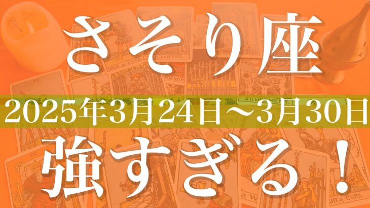 【さそり座】1週間の運勢（2025年3月24日〜3月30日）♏️応援来てる！苦しさからの出口、未来が明るくなり始める兆し