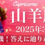 【やぎ座】2025年3月♑️ 流れが変わる！最後はここに、確かな感覚が見つかり始める、因果応報、報われる思い、白黒はっきりと結果が出る