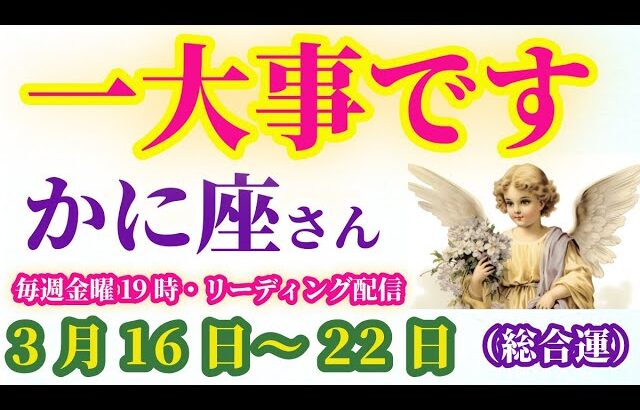 【蟹座】2025年3月16日から22日までのかに座の総合運。#蟹座 #かに座