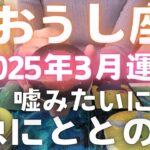 【おうし座 3月❣️】嘘みたいに急に整います💞　　 #カードリーディング