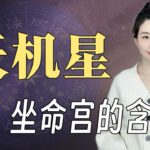 紫微星曜｜天機星坐命的“不安分基因”｜講給小白聽的紫微斗數