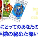 🌹恋愛タロット占い🌹あの人にとってのあなたの存在、お相手様の深い気持ち