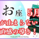 うお座5月は【興奮が止まらない】めっちゃラッキーで嬉しい‼️魂と直感の導きのまま進む♓️仕事恋愛人間関係【脱力系タロット占い】